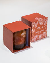 Load image into Gallery viewer, Apricus